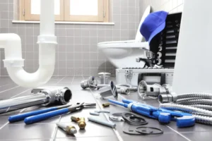 Toilet repair